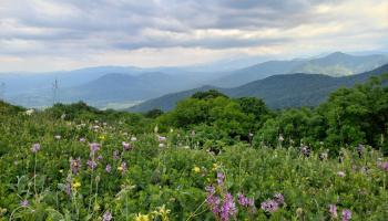 https://trips-photo.sletat.ru/Tours/86e729d5-ec29-4fb7-9798-ab61f0f9181e.jpg