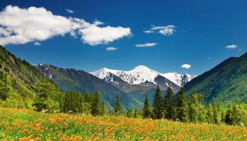 https://trips-photo.sletat.ru/Tours/89afb743-22e8-4366-983a-e6d9c27d97de.jpg
