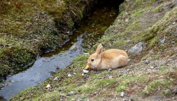 https://trips-photo.sletat.ru/Tours/8a0b093b-860e-4a22-8ce2-c632f65a1fef.jpg