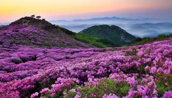 https://trips-photo.sletat.ru/Tours/8d260103-5009-4d2e-887d-bfa69459c3ee.jpg?response-content-type=image/jpeg