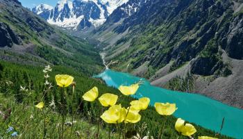 https://trips-photo.sletat.ru/Tours/8db05916-2515-47ba-a991-14196f97990e.jpg?response-content-type=image/jpeg
