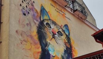 https://trips-photo.sletat.ru/Tours/8dc07f06-6b6a-4f7e-a65c-bf0766cd46ac.jpg