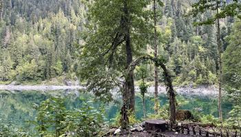 https://trips-photo.sletat.ru/Tours/8f57693a-c004-4f52-af34-040bc2b2fb52.jpg