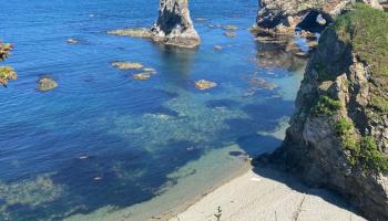 https://trips-photo.sletat.ru/Tours/9381faf6-8d91-49dc-bc16-435bbe98da5a.jpg?response-content-type=image/jpeg