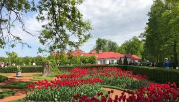 https://trips-photo.sletat.ru/Tours/93c2a437-51b4-46bd-89a1-af54e93dd65f.jpg