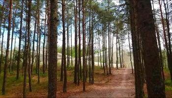 https://trips-photo.sletat.ru/Tours/948e1a99-ef3e-45ac-8a61-46e34e8438b5.jpg