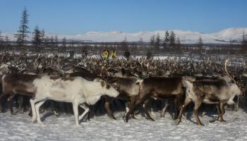 https://trips-photo.sletat.ru/Tours/957f5188-993d-4089-b2e3-4480abc2e30c.jpg