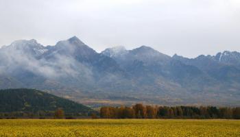 https://trips-photo.sletat.ru/Tours/959638ad-c0a2-4738-89bc-d1f02da783a2.jpg