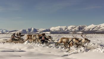 https://trips-photo.sletat.ru/Tours/993dace3-2229-4004-8af5-b02aed943679.jpg?response-content-type=image/jpeg