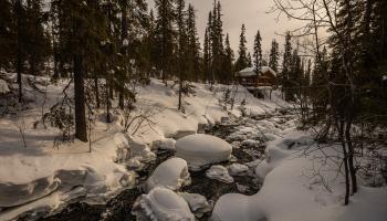 https://trips-photo.sletat.ru/Tours/9beb9250-d875-409a-af15-495aeb30d13d.jpg