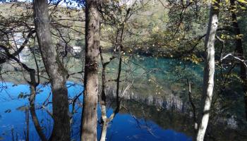 https://trips-photo.sletat.ru/Tours/a02c34ec-ffd8-45da-bf87-c5eb8057b54d.jpg