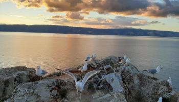 https://trips-photo.sletat.ru/Tours/a162df1f-6013-452b-9fca-dd917786883e.jpg