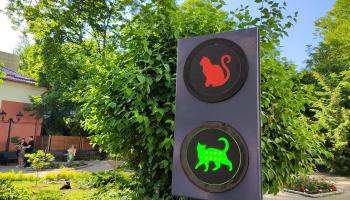 https://trips-photo.sletat.ru/Tours/a25f14f5-3f0c-4cf0-8879-d0c583eee4bb.jpg