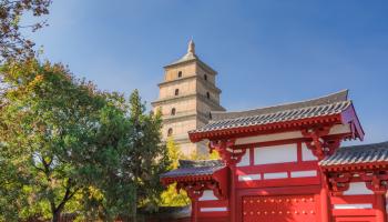 https://trips-photo.sletat.ru/Tours/a680629f-97ce-4eac-8d8d-2edeea19c5c6.jpg