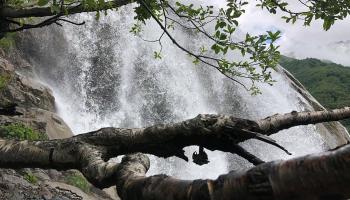 https://trips-photo.sletat.ru/Tours/a78e4555-87b4-4412-ac49-2051d4c6630b.jpg?response-content-type=image/jpeg