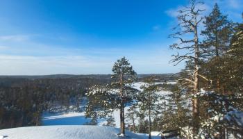 https://trips-photo.sletat.ru/Tours/a824f35e-cf1b-4b9a-af90-7098ff2f65a8.jpg