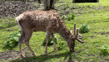 https://trips-photo.sletat.ru/Tours/ab3a5414-6c5a-4e67-9d62-d87729943116.jpg