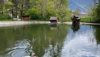 https://trips-photo.sletat.ru/Tours/abb64372-2b25-4bf2-96de-0e972662c396.jpg