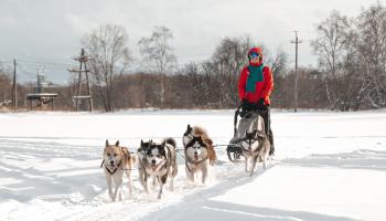 https://trips-photo.sletat.ru/Tours/af09b2b7-c353-4120-a0bf-3f0ace051ff6.jpg
