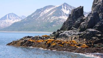 https://trips-photo.sletat.ru/Tours/b41bbc02-629b-4c7c-9086-df399b96d5a1.jpg