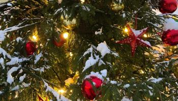 https://trips-photo.sletat.ru/Tours/bc6df420-83f9-405e-8d66-9da52ab44ce8.jpg