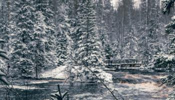 https://trips-photo.sletat.ru/Tours/be2f4c2e-30fc-4665-8285-6510d832c118.jpg
