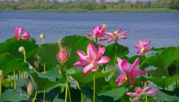 https://trips-photo.sletat.ru/Tours/c05340af-f1da-41b7-b9a4-460923a27da9.jpg