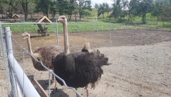 https://trips-photo.sletat.ru/Tours/c3885d11-f0a0-4d7d-8d1b-104928de9804.jpg