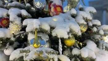 https://trips-photo.sletat.ru/Tours/c41b2b9d-1805-4071-a511-f9900bf70612.jpg