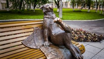 https://trips-photo.sletat.ru/Tours/c8c048c3-b888-490e-b38c-8e02b636ec0a.jpg
