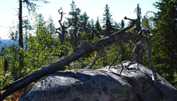 https://trips-photo.sletat.ru/Tours/c9da6e5a-df6f-460f-b342-b0589546f7d3.jpg