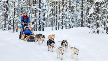 https://trips-photo.sletat.ru/Tours/ca965996-f60f-433f-a3cd-f8eb373ab69a.jpg