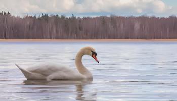 https://trips-photo.sletat.ru/Tours/cb10a3f6-8821-43d6-8b29-345dfd251c70.jpg