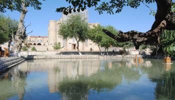 https://trips-photo.sletat.ru/Tours/cbcf885a-4e73-4476-a92e-5b56aed90fc2.jpg