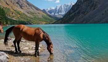 https://trips-photo.sletat.ru/Tours/cc38cbf8-2d93-4fb7-bcc4-0c15ecc3ed84.jpg?response-content-type=image/jpeg