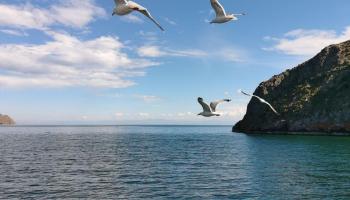 https://trips-photo.sletat.ru/Tours/d0b0b1e1-690b-4a6f-8061-01f1886a1495.jpg?response-content-type=image/jpeg