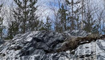 https://trips-photo.sletat.ru/Tours/d178d97a-c4b7-4d97-b36f-e76fcf838611.jpg