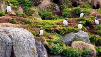 https://trips-photo.sletat.ru/Tours/d76f769f-2bce-44f8-8e27-01a942325776.jpg