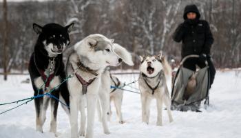 https://trips-photo.sletat.ru/Tours/d80b9c84-d3df-4446-861c-1f944ead5364.jpg?response-content-type=image/jpeg