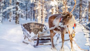 https://trips-photo.sletat.ru/Tours/dfee815b-f590-4226-82b1-da9c0137f833.jpg
