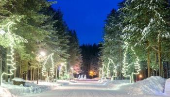 https://trips-photo.sletat.ru/Tours/e34d1f2d-f325-436d-b364-aa80dd6f9ebc.jpg?response-content-type=image/jpeg