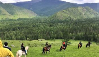 https://trips-photo.sletat.ru/Tours/e43019d3-754a-4deb-8f0d-8bce6cbde49a.jpg?response-content-type=image/jpeg