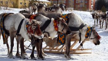 https://trips-photo.sletat.ru/Tours/e587f357-51f1-4ccd-85ee-4ad3df1927a5.jpg?response-content-type=image/jpeg