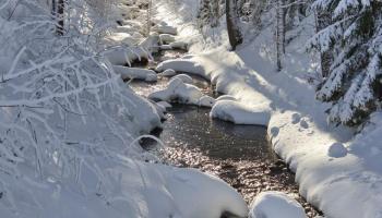 https://trips-photo.sletat.ru/Tours/e5e58f27-4a64-4599-979b-8e736f4b8169.jpg
