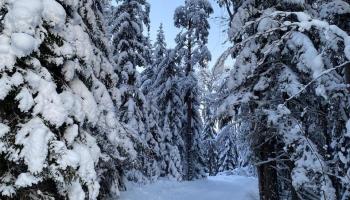https://trips-photo.sletat.ru/Tours/ede4ed09-c08e-435b-b027-10b383396964.jpg