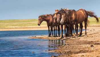 https://trips-photo.sletat.ru/Tours/f938bdf6-ac33-4b54-bb56-d52049770423.jpg